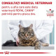 Royal Canin Veterinary Feline Urinary S/O – Hrană Uscată pentru Pisici cu Afecțiuni Urinare, 400 g